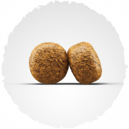 BALANCE koostis