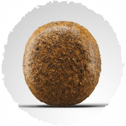 LARGE BREED koostis