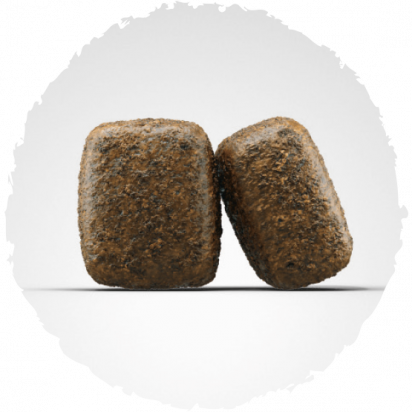 POULTRY & TROUT koostis