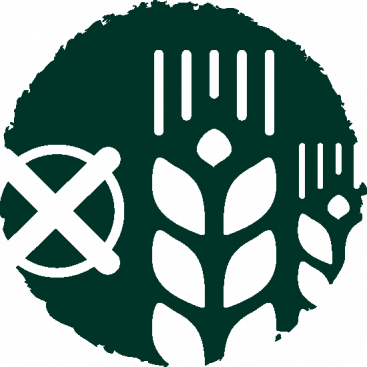 Grainfree