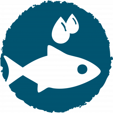 Omega 3